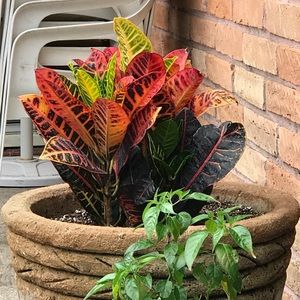 Meet your Posher, Marisol