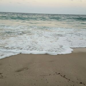 Meet your Posher, Bonnie