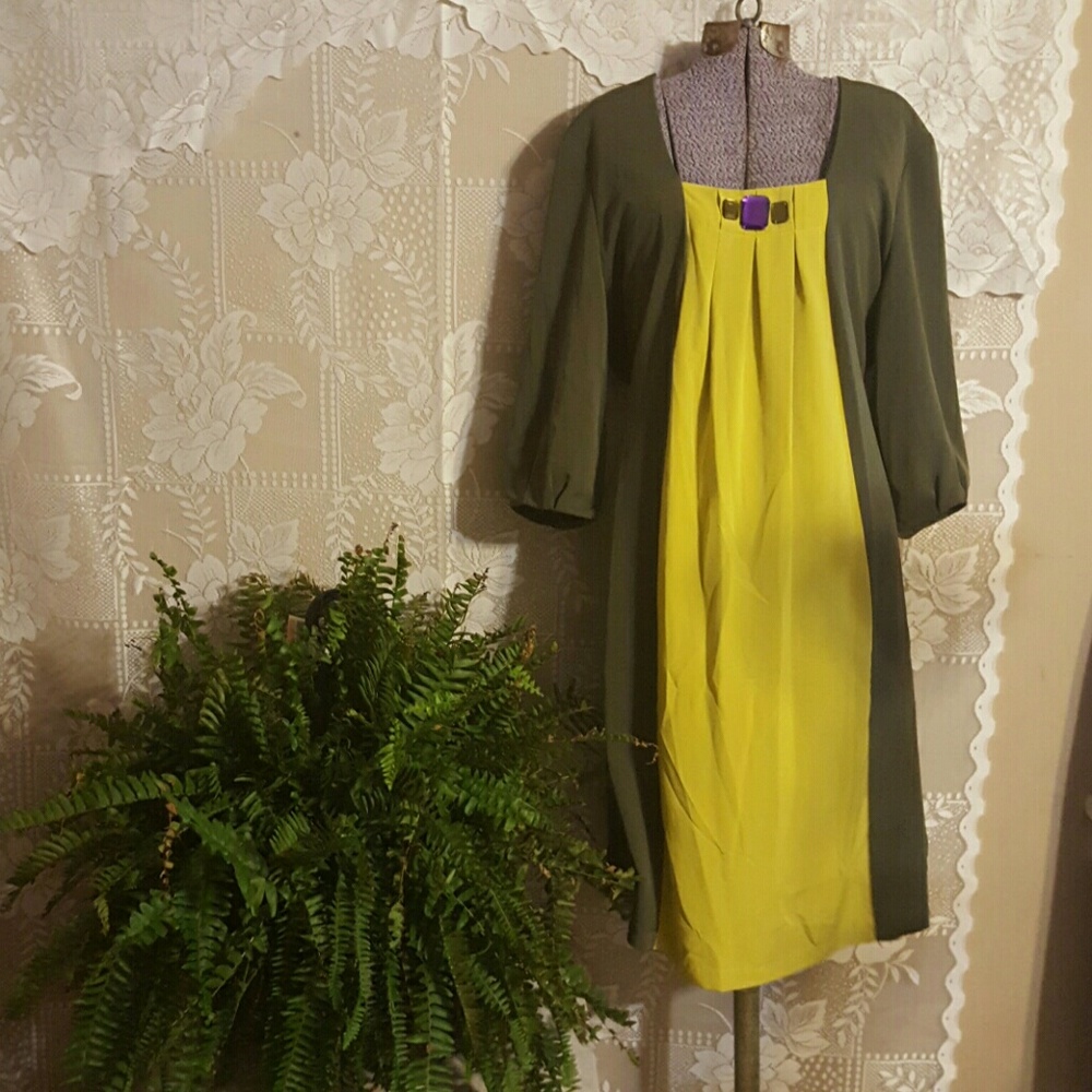 Simply Vera Wang Stunning Dress Never worn