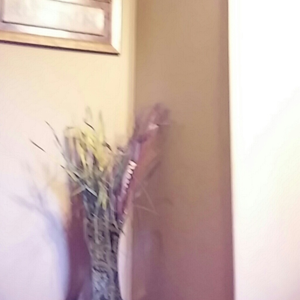 Meet your Posher, Shulay