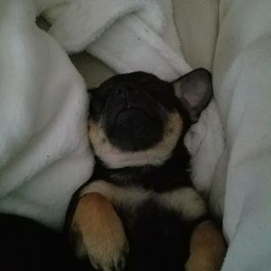 Meet your Posher, Vanessa