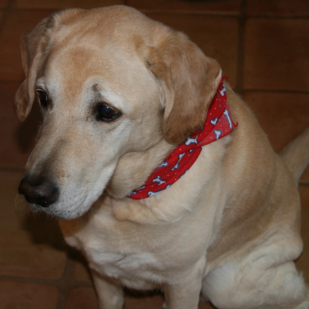 Meet your Posher, Corinne