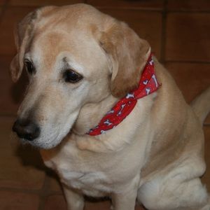 Meet your Posher, Corinne