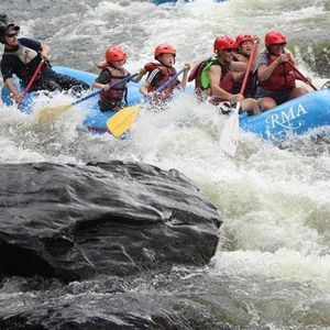 Meet your Posher, Bridgett