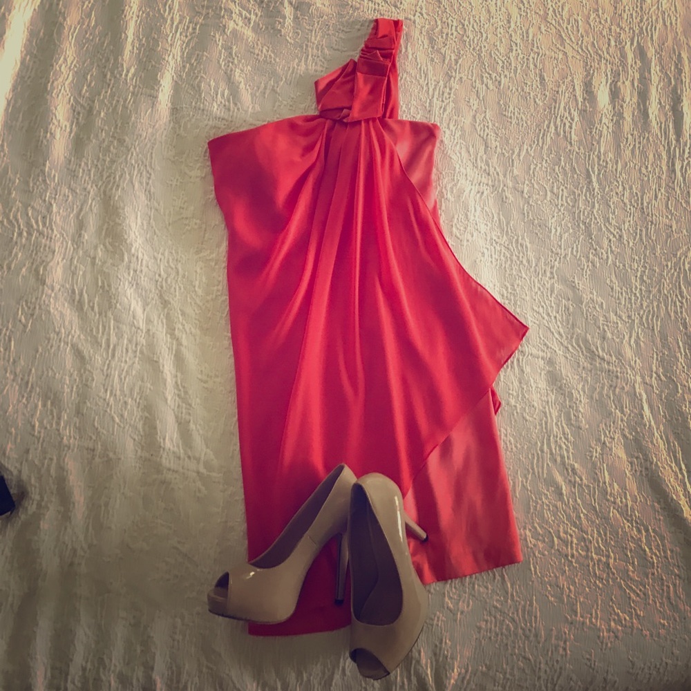 Gorgeous coral colored maxandcleo dress.