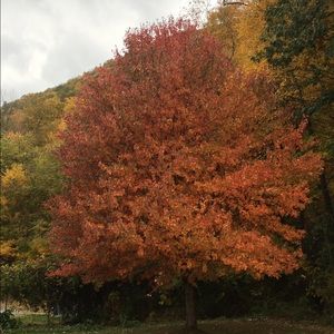 Meet your Posher, Margaret