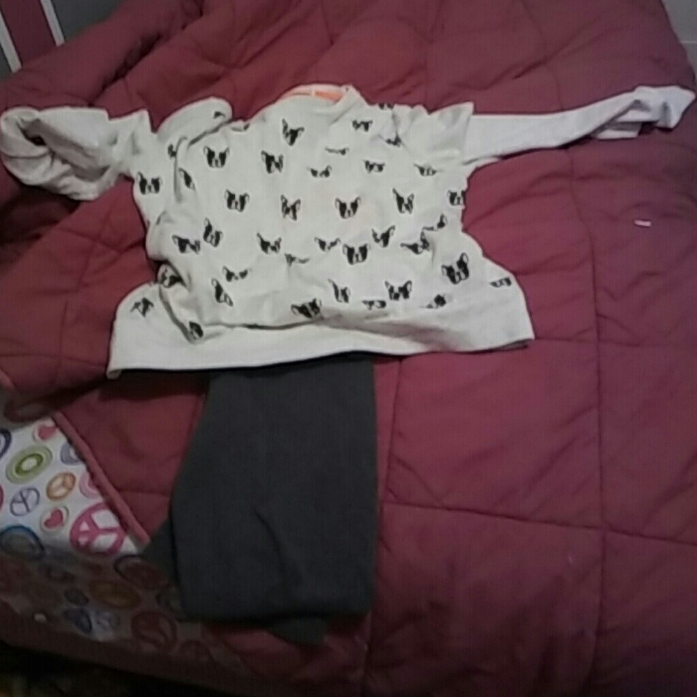 Puppy dog outfit set