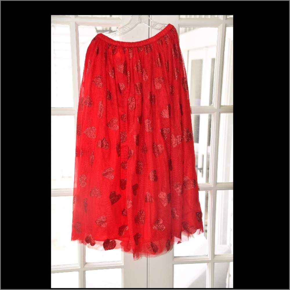 Gorgeous ❤️❤️skirt paid$550
