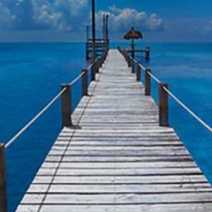 Meet your Posher, Zoe