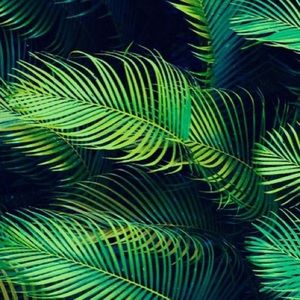 Meet your Posher, Alexa