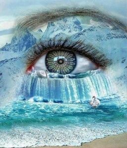 Meet your Posher, Bobbie