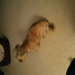 Meet your Posher, Linda