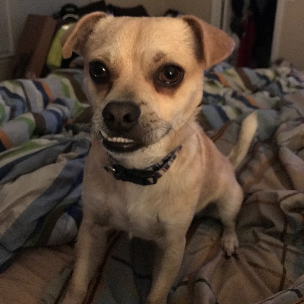 Meet your Posher, Michelle