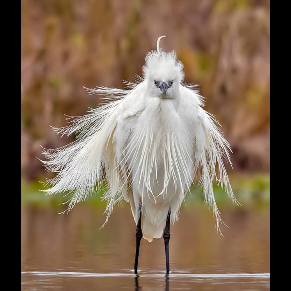 Meet your Posher, Jo