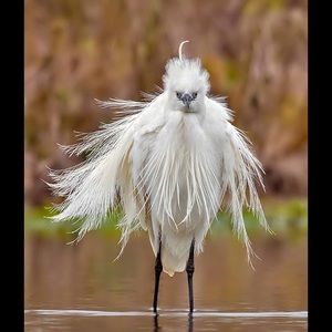 Meet your Posher, Jo