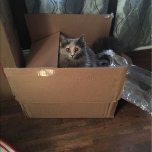 Meet your Posher, Georgiana