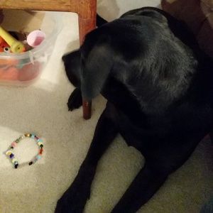 Meet your Posher, Chrissy