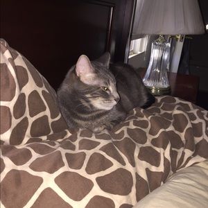 Meet your Posher, Dorchelle