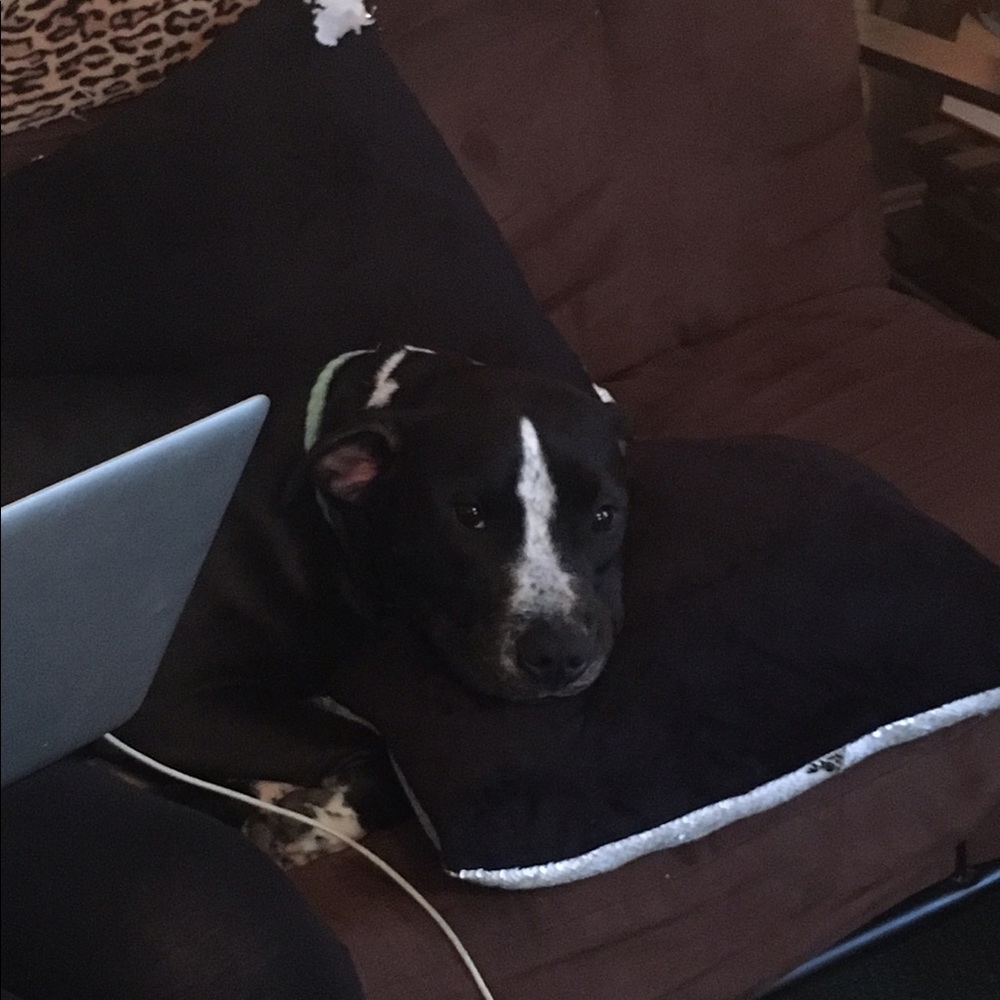 Meet your Posher, Tessa