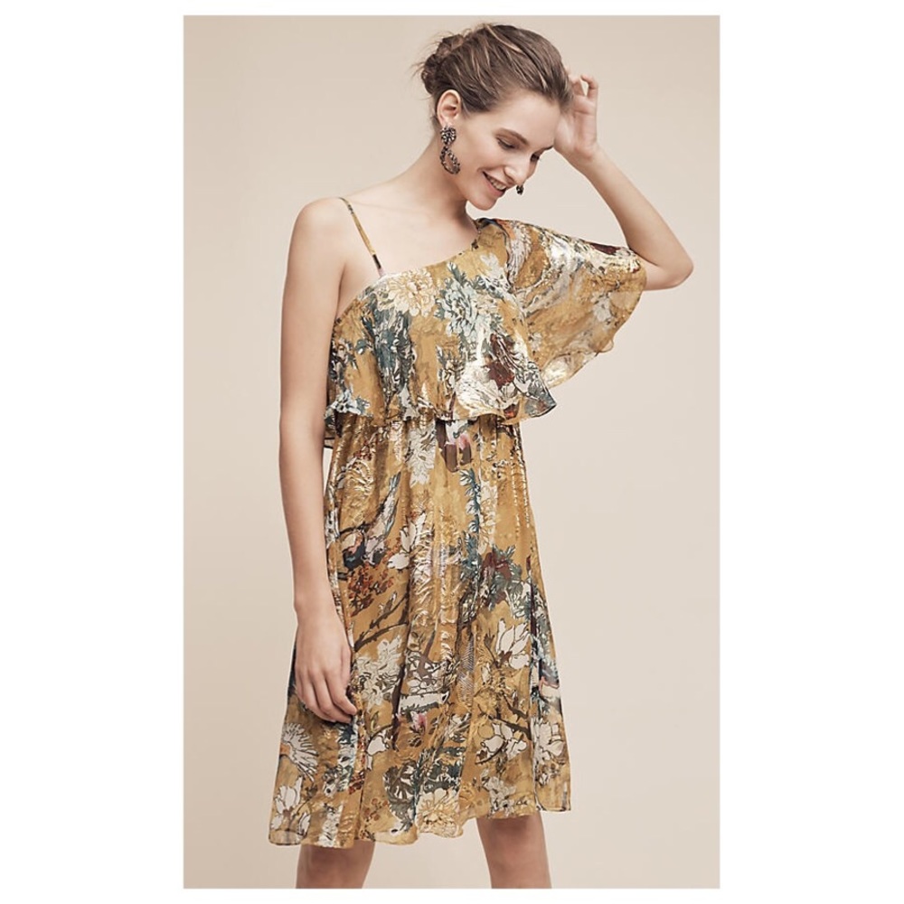 Anthro 'BLOOMING RUFFLED SLEEVE DRESS'