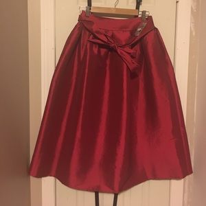 Fancy Skirt