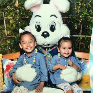 Meet your Posher, Diana