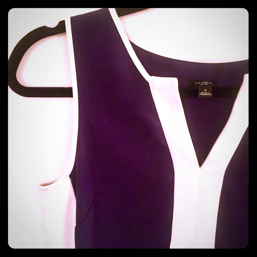 Navy and White Sleeveless Dress