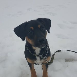 Meet your Posher, Lauren