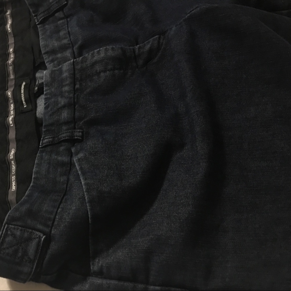 Express Wideleg Dressy Pants