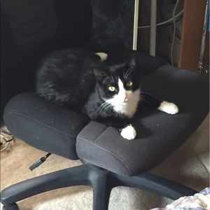 Meet your Posher, Nicole