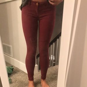Burgundy pants