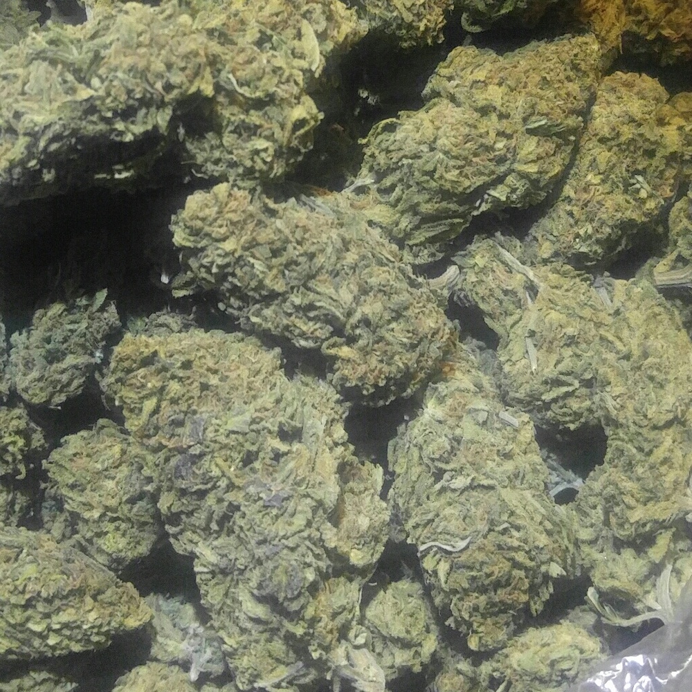 Meet your Posher, Stoner