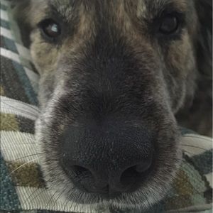 Meet your Posher, Maureen