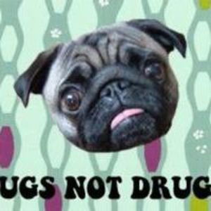 Meet your Posher, Anne