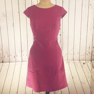 NWT Rose Pink Medium Length Capsleeve Dress
