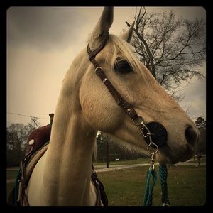 Meet your Posher, Jaden