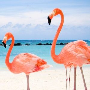 Meet your Posher, Nicola