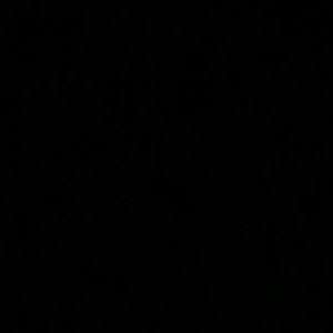 Meet your Posher, Rosa