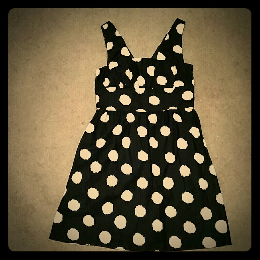 Anne Taylor Loft Polk a Dot knee length dress