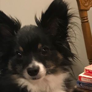 Meet your Posher, Alison