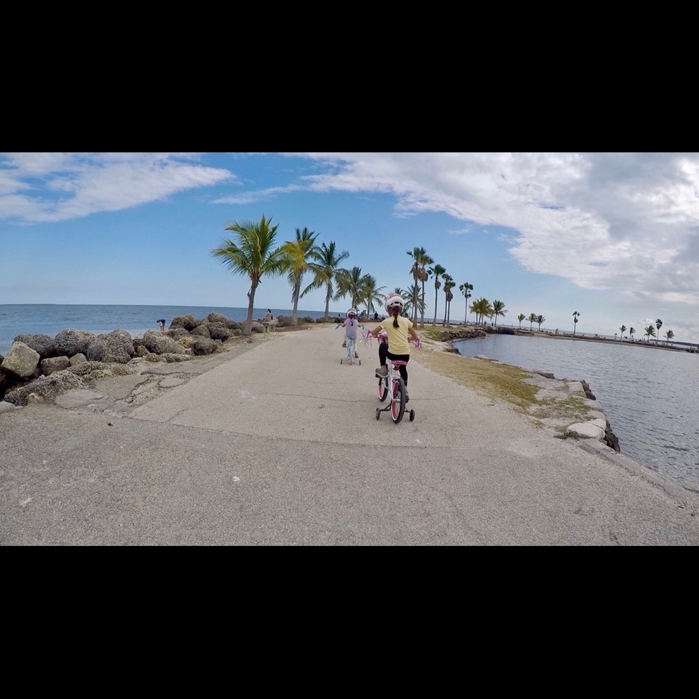 Meet your Posher, Yeneisy