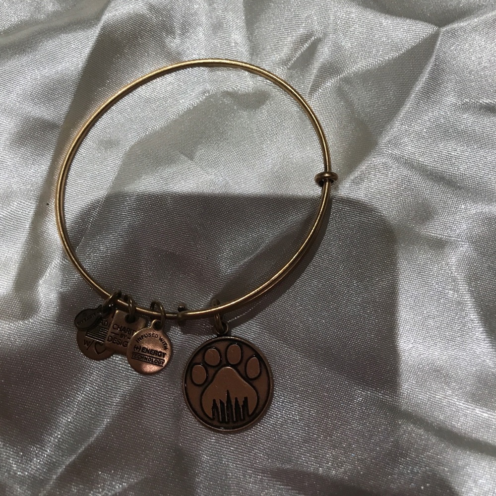Paw and nyc alex and ani bracelet