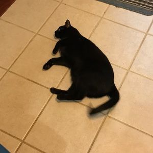 Meet your Posher, Taylor