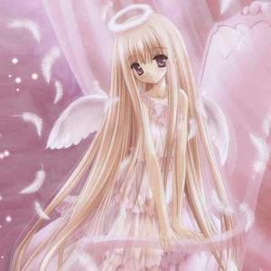 Meet your Posher, Angel