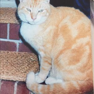 Meet your Posher, Rk