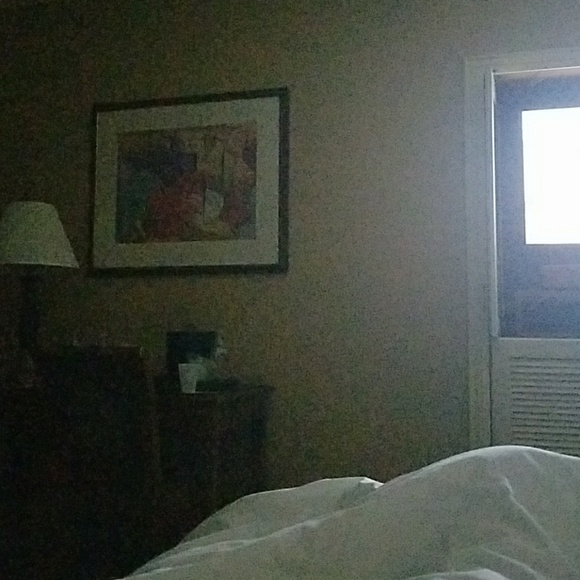 Meet your Posher, Bonnie - Picture 1 of 1