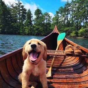 Meet your Posher, Sam