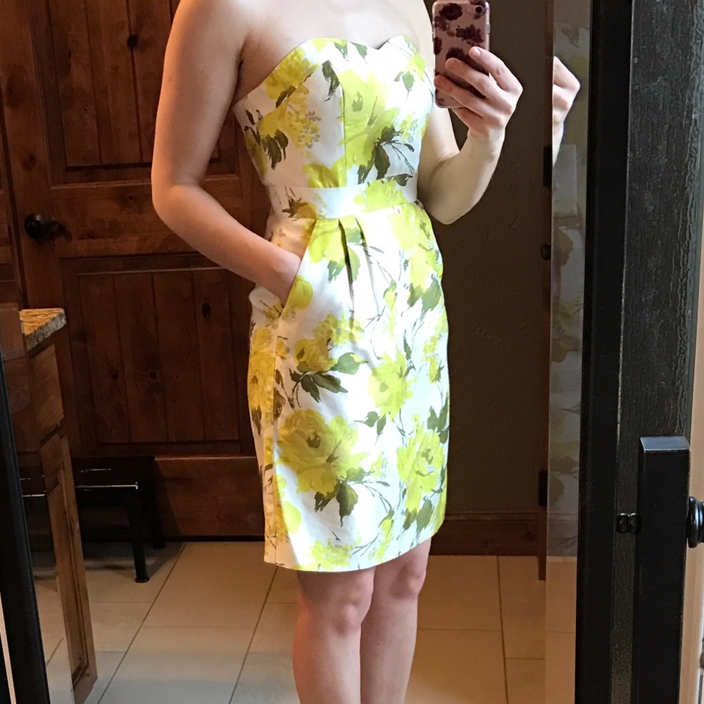 Kate Spade Faye Silk Dress