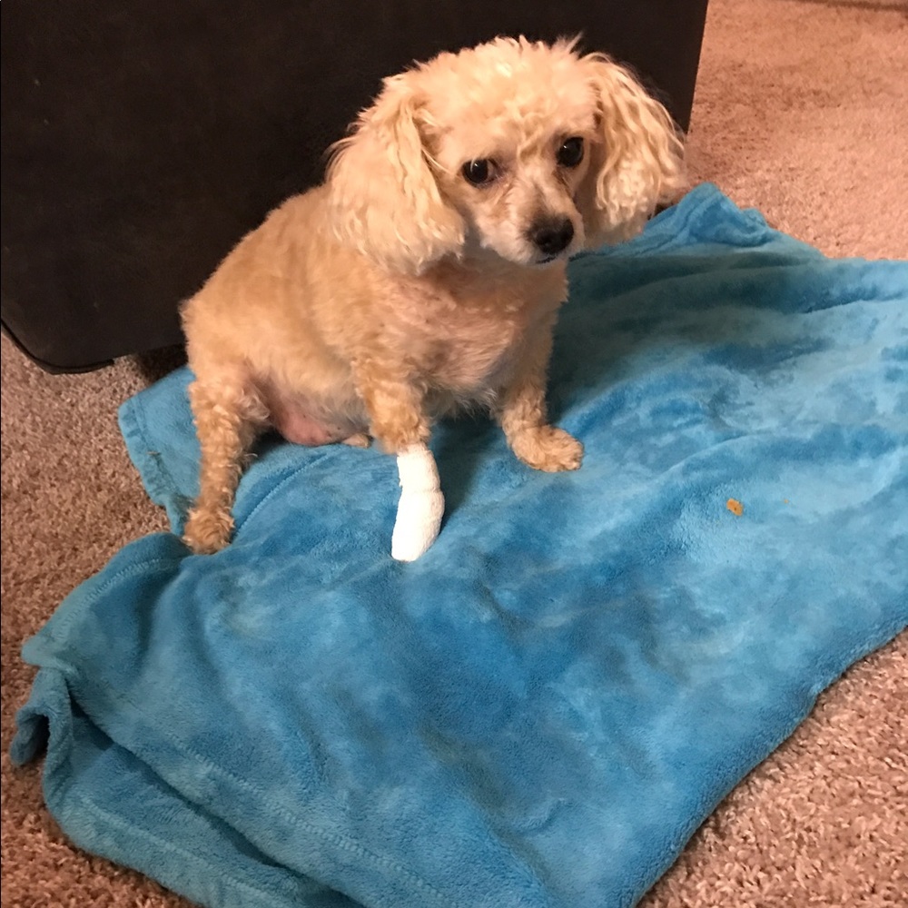 Meet your Posher, Angela