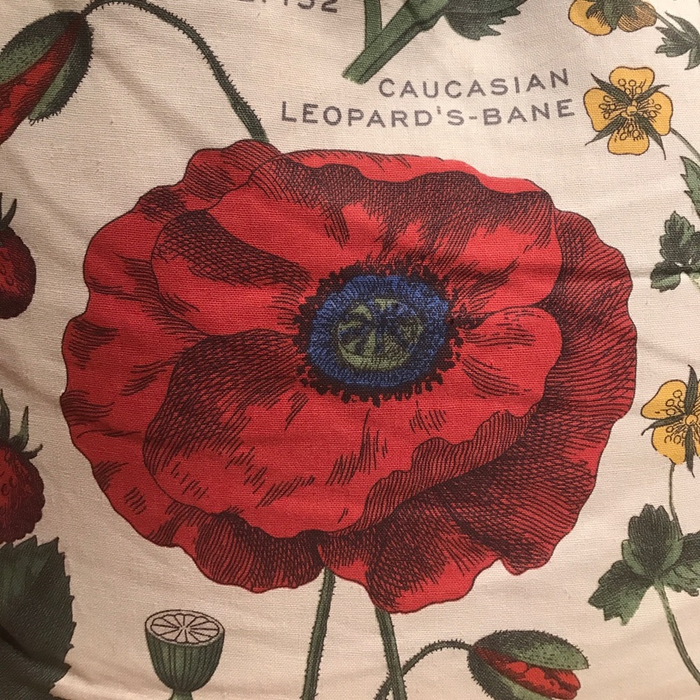 Meet your Posher, Courtney